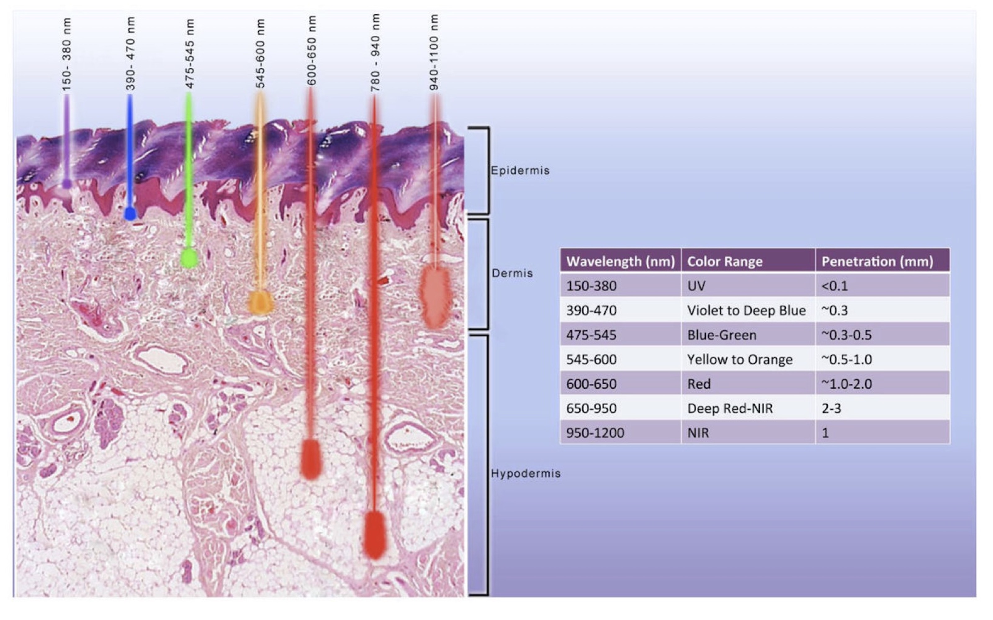 TissueDepth2 Blue Marble University